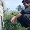 Ahmarali