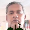 arifo2
