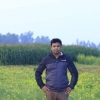 Suman752