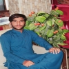 SyedAijazSeo