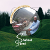 saeed7866