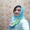 bingwordpress