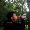 tarmana