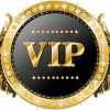 VIPSEOteam