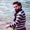 ShamsMalik