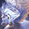 unicorn05