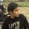 falasifas