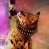 lonely88
