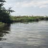 mnntambi