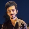 WpWebMaster