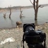 sbmsharma