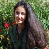 nazamch