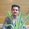SaimulSeo