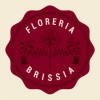 FlorerasFast