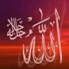 sanshf