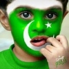 madni434