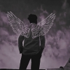 clarks85