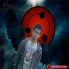 arisdream