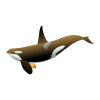 BusinessWhale686173
