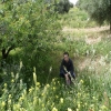 WassimB