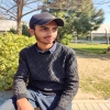 Shiraz578588