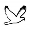 saherboy