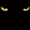 jaguareye004