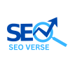 SeoVerse1