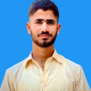 Mirza124041