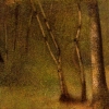 alialialiali