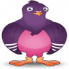 cosedola