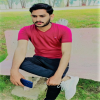 SEOExpert502