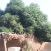 MuneerSeo