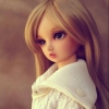 aimal