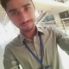 Tauqeer71519