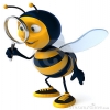 mrbeat
