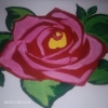 Eman562782