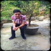 nameserverdot