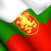 powertuningbg