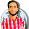 AmeerSEO