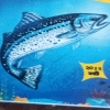 Seosabina