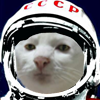 Catmoderator