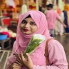 purnota0097