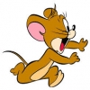 Haseebjawed