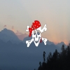 PirateConcepts