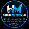 hamzamughal3133