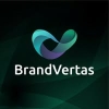 BVSEOlinks