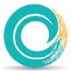 crazycurve