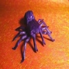 Tarantula