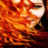 Aysen06
